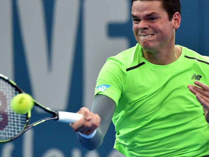 Milas Raonic Faces Roger Federer in Brisbane Final, Poland Win Hopman Cup