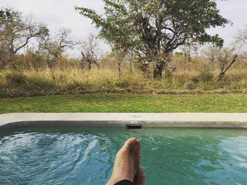 Virat Kohli, Anushka Sharma Relax on an African Safari?