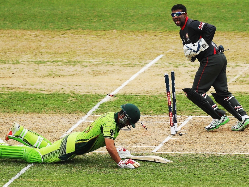 As It Happened: Pakistan vs United Arab Emirates, 25th World Cup Match in Napier