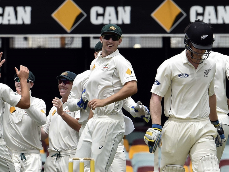 Australia Continue Gabba Dominance, Thrash New Zealand by 208 runs in First Test