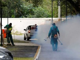 Rio Olympics: Zika Will Not be an Issue at Games, Say Health Officials Rio Olympics: Zika Will Not be an Issue at Games, Say Health Officials