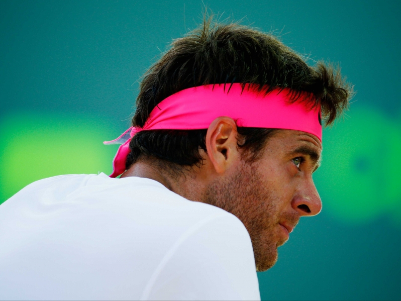Juan Martin Del Potro Defeated in Delray Beach Semi-Finals