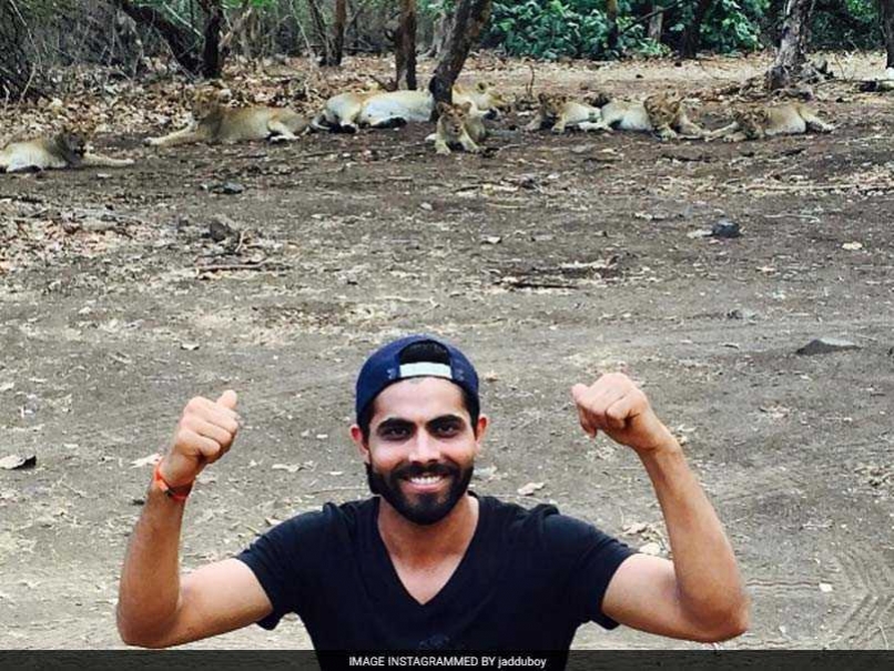 Ravindra Jadeja Clicks Selfies With Lions, Gir Forest Officials Not Amused