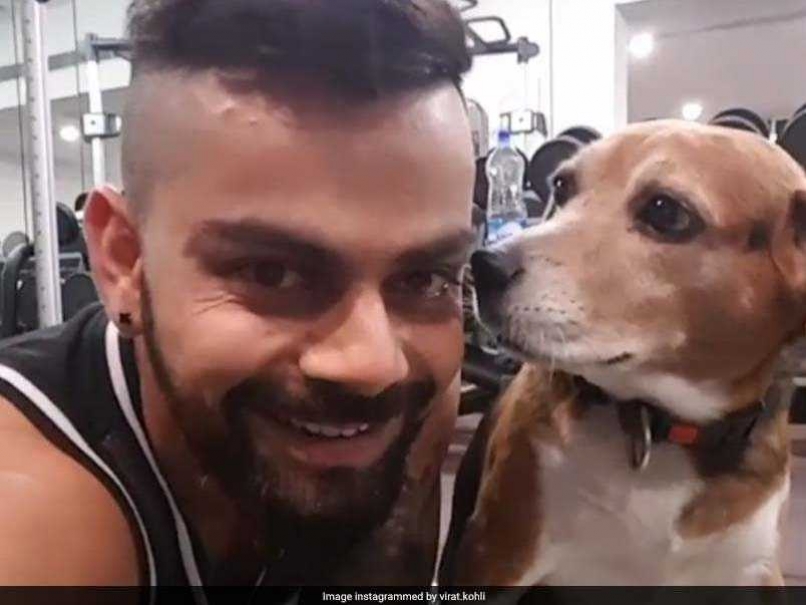 Virat Kohli Prepares For New Zealand Challenge With Workout 'Partner' Bruno