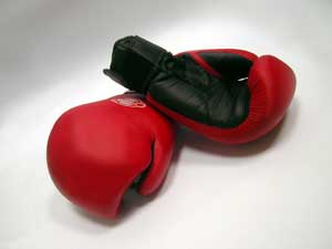Indian Boxing Federation barred from IOA polls