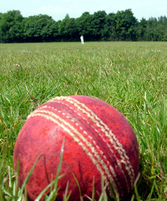 Court Bars Delhi and Districts Cricket Association Executive Committee Meetings Till January 27