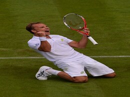 Wimbledon 2013: 'Shark' Steve Darcis basks in taking bite out of Rafael Nadal Wimbledon 2013: 'Shark' Steve Darcis basks in taking bite out of Rafael Nadal