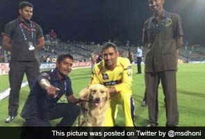 Who says cricket and bikes are Mahendra Singh Dhoni's only love?