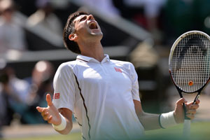 Wimbledon: Novak Djokovic into final after epic win over Juan Martin del Potro