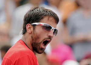 Serbia to miss Janko Tipsarevic in Davis Cup final