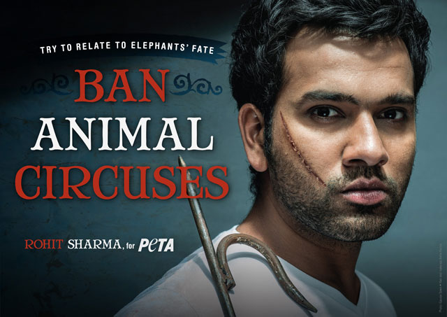 India's batting star Rohit Sharma hits out at animal circuses in new PETA ad