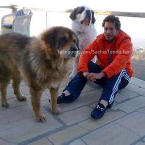 Sachin Tendulkar chills out in Mussoorie with his dogs