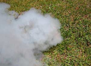 Smoke bomb set off at Chelsea's training ground