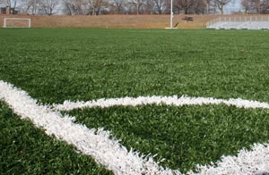 I-League: Mohun Bagan players brave snake-infested pitch