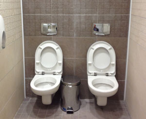 Twin toilets photo at Sochi Winter Olympics goes viral