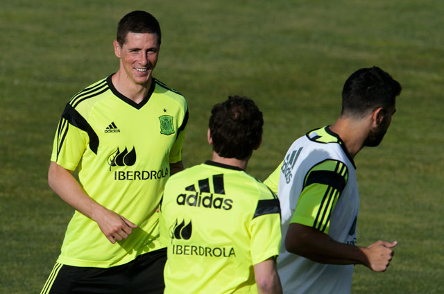 FIFA World Cup: Fernando Torres Gets a Foothold in Spain Squad