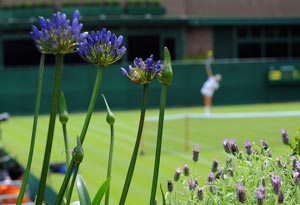 'Smile Pinki' star to toss coin at Wimbledon