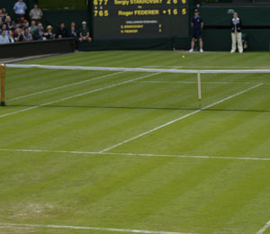 Wimbledon chief says players' pullout not due to grass