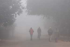 Delhi fans brave severe cold to watch India vs Pakistan