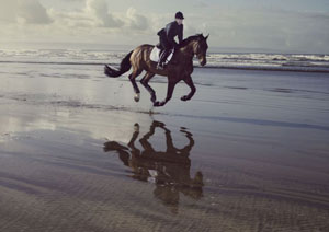 Animals do stupid things - Games-bound Phillips